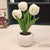 Tulip Flower Lamp Cute Flowers Night Light Home Decor Gifts for Mom - Myphotomugs