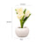 Tulip Flower Lamp Cute Flowers Night Light Home Decor Gifts for Mom - Myphotomugs