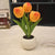 Tulip Flower Lamp Cute Flowers Night Light Home Decor Gifts for Mom - Myphotomugs