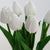 Tulip Flower Lamp Cute Flowers Night Light Home Decor Gifts for Mom - Myphotomugs