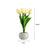 Tulip Flower Lamp Cute Flowers Night Light Home Decor Gifts for Mom - Myphotomugs