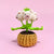 Doll Flowers Night Light Crochet Artificial Lamp Home Decor Gifts - Myphotomugs